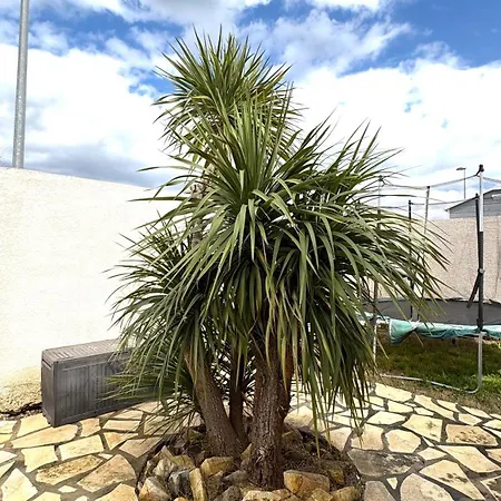 Elegance - Piscine - Jardin - Moderne Topprosconciergerie